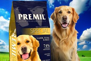 Инфографика  для маркетплейсов.