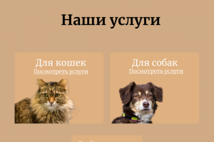 Сайт для груминг салона
