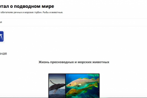Портал о подводном мире
