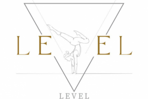 level studio