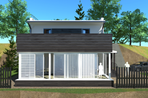 Экстерьерное оформление дома