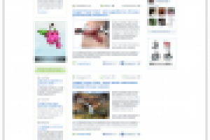 Создание информационного портала Glassgid.com