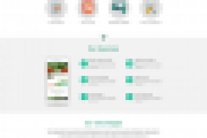 Сайт израильской it - компании