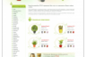 Бюро фитодизайна