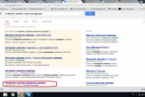 Продвижение и оптимизация сайта интернет магазина женской одежды