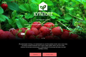 Мастерская теплиц в Санкт-Петербурге.