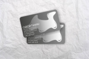 Визитная карточка