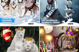 Посты в инстаграм_5