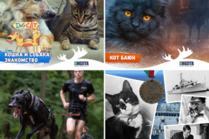 Посты в инстаграм_4