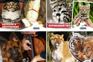 Посты в инстаграм_2