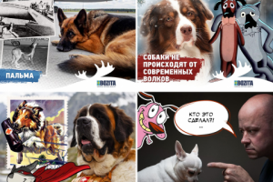 Посты в инстаграм_1