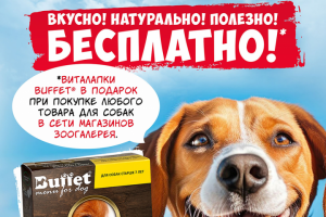 Листовка_Акция!