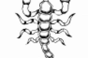 Эскиз для бижутерии