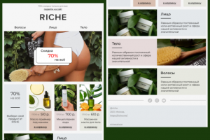 riche дизайн рекламы для почты