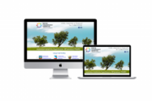 Красногорский район. Новый 2016 год