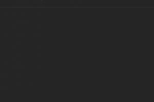 Отзыв об ООО«Базис»