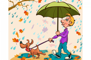 Вместе под дождем