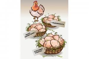 Векторная иллюстрация для учебного пособия