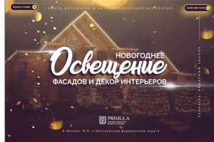 christmas lights house