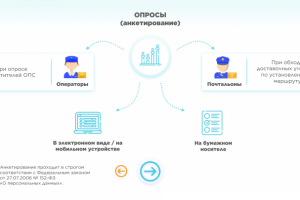 Презентация. Опросы