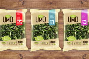 Работа 3721388