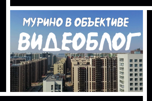 Видеоблог "Мурино в Объективе". Съемка + Монтаж + Цветокоррекция