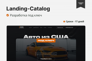 Landing-Catalog для компании CCG. Ниша - авто.