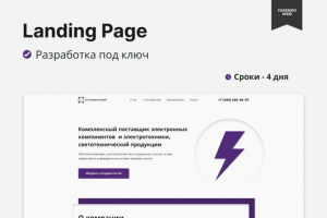 Landing Page для компании СетьЭнергоСтрой. Сфера - электрика.