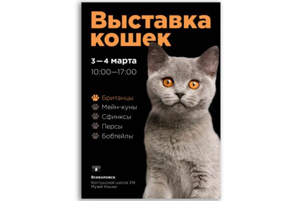 img3997167.png
