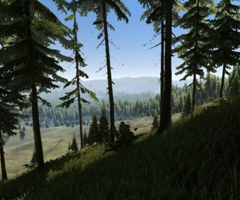 img3980136.png