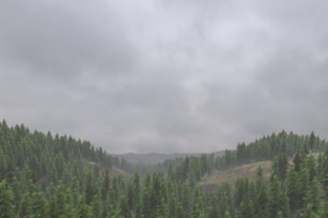 Работа 3980154