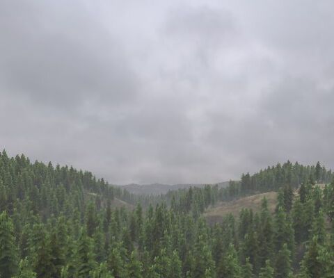 img3980154.png