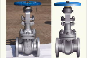 Из фото в вектор
