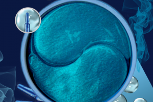 Карточки товаров для маркетплейсов пример