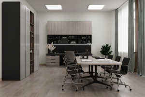 Кабинет директора (дом ученых г. Самары)