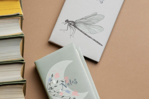 Иллюстрация обложки