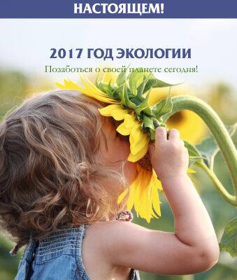 img3545379.png