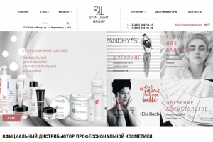 Создание интернет-магазина «Скин Лайт»
