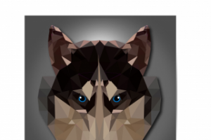 дизайн, инфографика