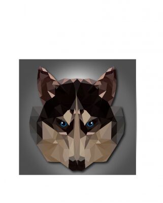 img4407793.png