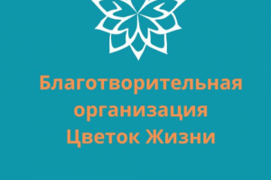 Логотип для благотворительной организации