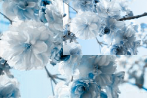 Редактирование фото