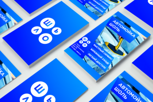 Визитка "Автомойка Шоль"