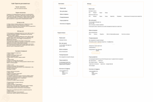 Текстовый прототип и анализ компании