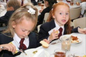 Продающий текст для маркетинг-кита. Организация детского питания