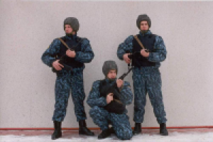 Текст на главную для частного охранного предприятия