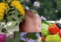img1085713.png