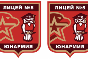 Макет шеврона