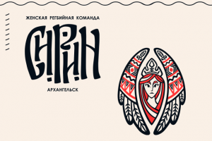 Фирменный стиль спортивной команды