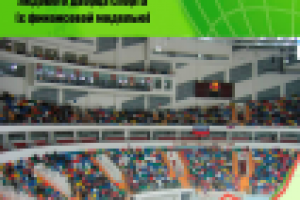 СОЗДАНИЕ БИЗНЕС-ПЛАНА "ЛЕДОВЫЙ ДВОРЕЦ"